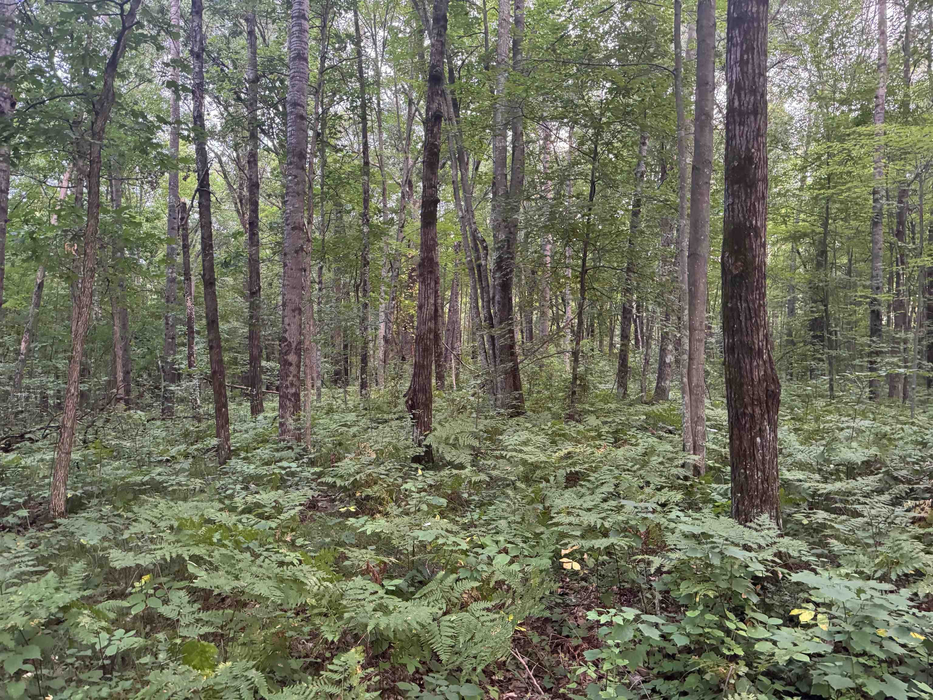 13 acres on County Rd A Spooner WI 54801 6121455 image14