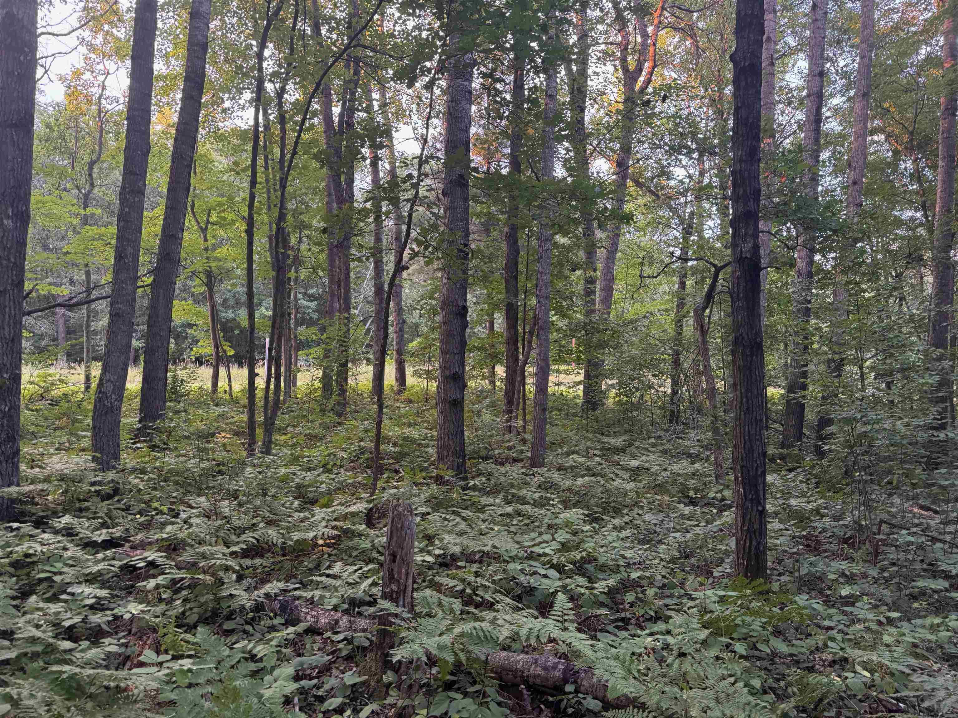 13 acres on County Rd A Spooner WI 54801 6121455 image15