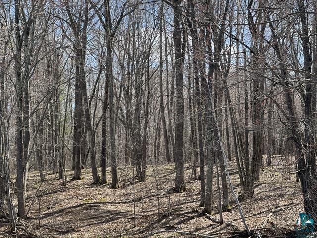 13160 E County Rd B Lake Nebagamon WI 54849 6124899 image33