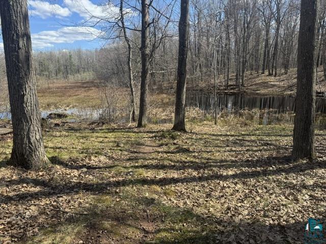 13160 E County Rd B Lake Nebagamon WI 54849 6124899 image34
