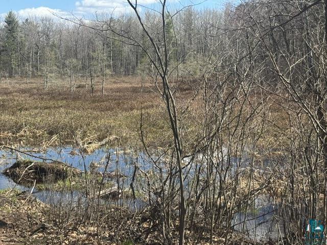13160 E County Rd B Lake Nebagamon WI 54849 6124899 image35