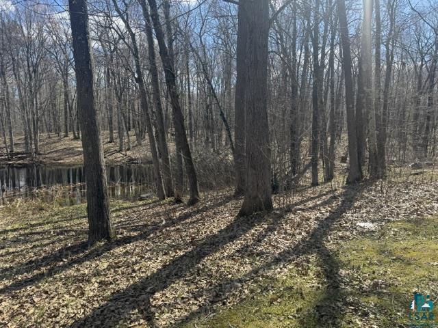 13160 E County Rd B Lake Nebagamon WI 54849 6124899 image36