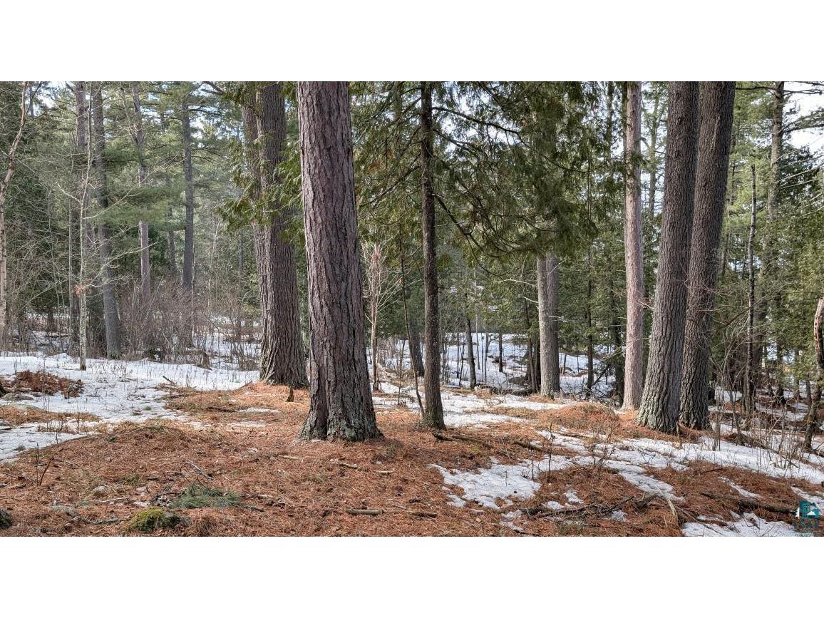1317 N Pioneer Rd Ely MN 55731 - Shagawa Lake 6124232 image4