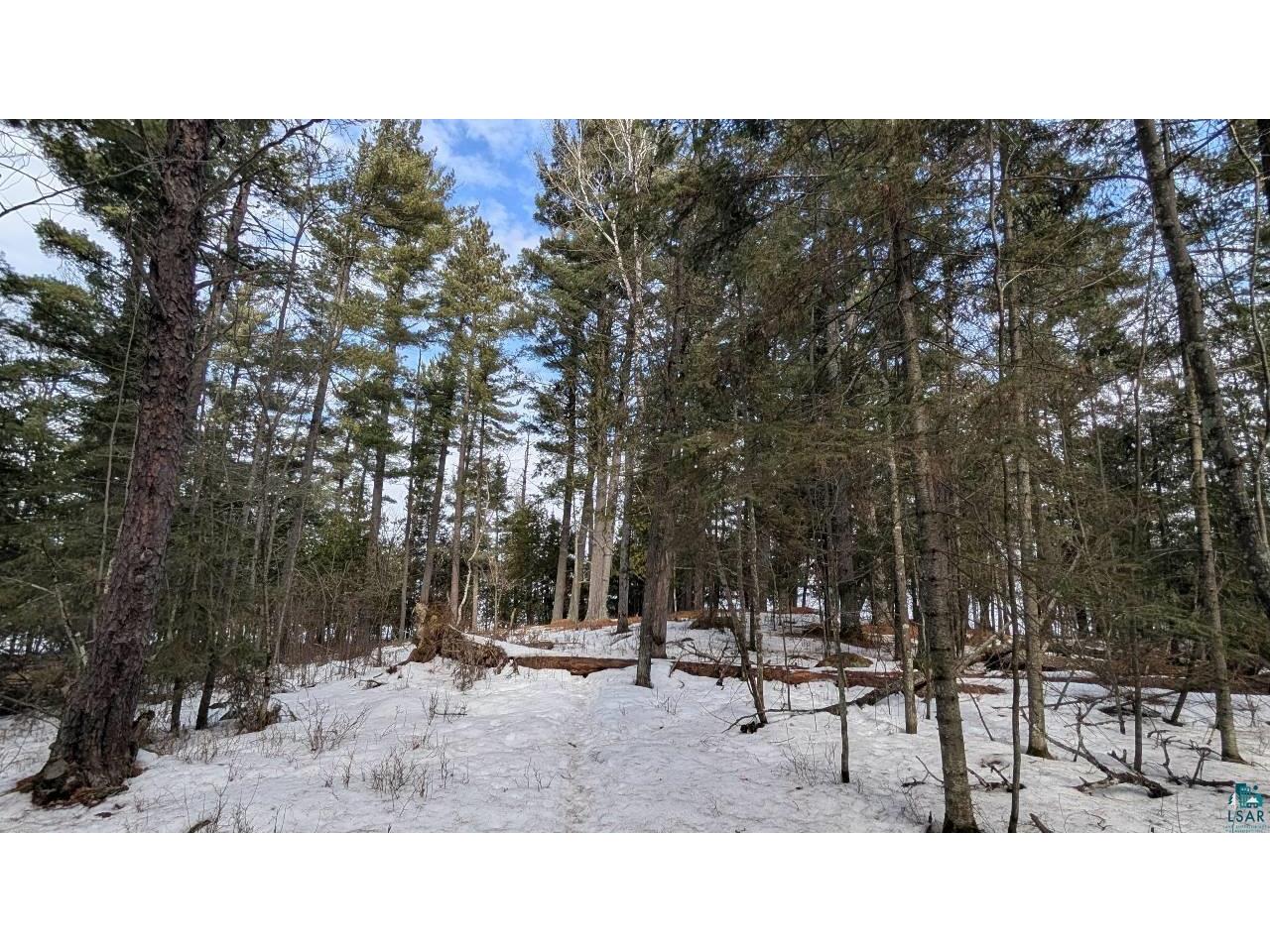 1317 N Pioneer Rd Ely MN 55731 - Shagawa Lake 6124232 image7