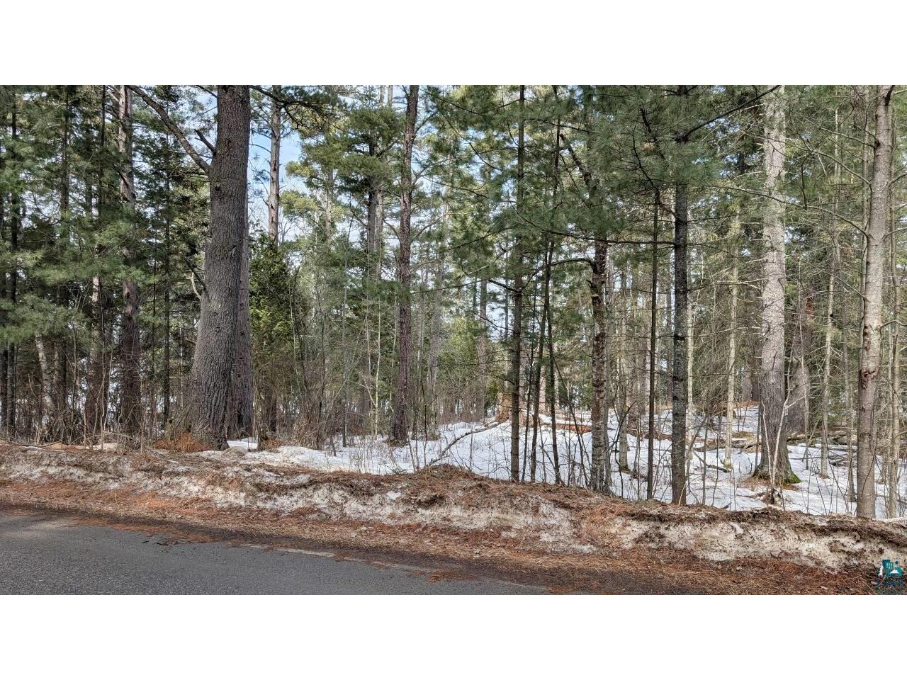 1317 N Pioneer Rd Ely MN 55731 - Shagawa Lake 6124232 image8