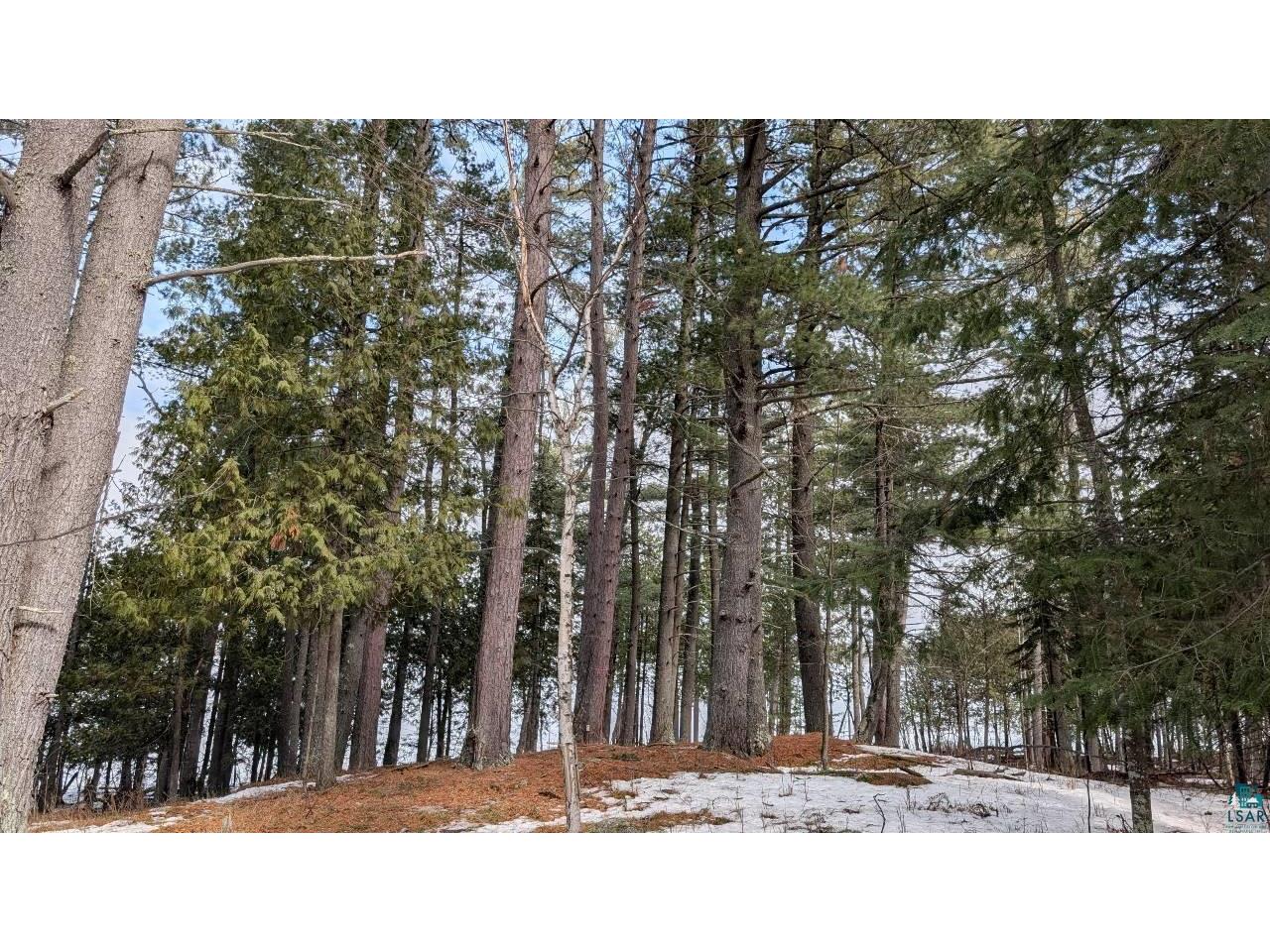 1317 N Pioneer Rd Ely MN 55731 - Shagawa Lake 6124232 image9