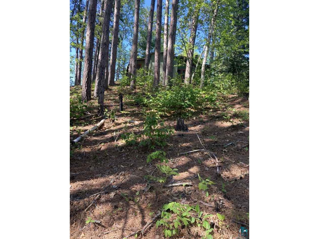 131xx Finfeather Rd Side Lake MN 55781 - Beatrice Lake 6103164 image1