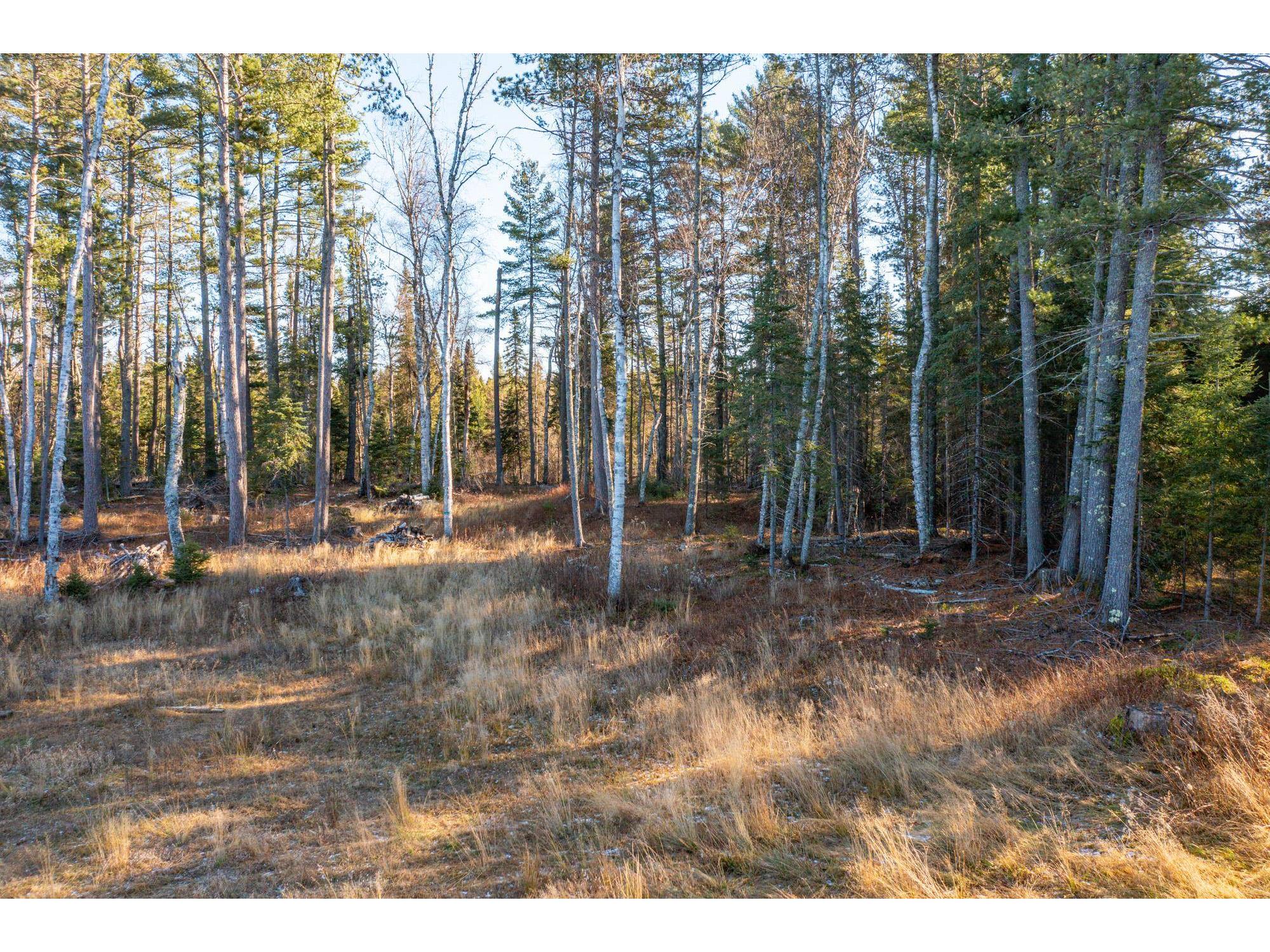 1346 Bear Head State Park Rd Ely MN 55731 6122929 image16