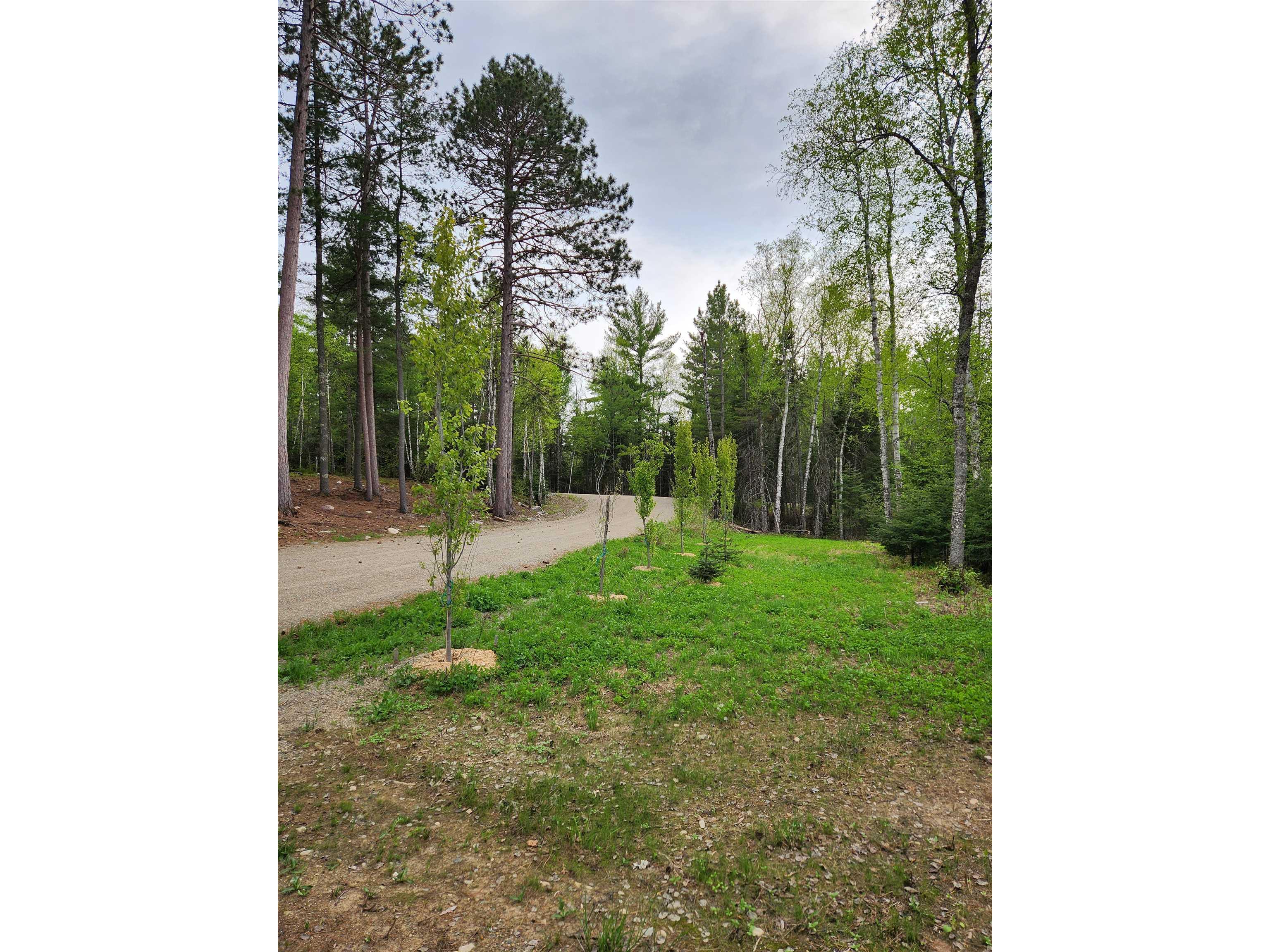 1346 Bear Head State Park Rd Ely MN 55731 6122929 image25