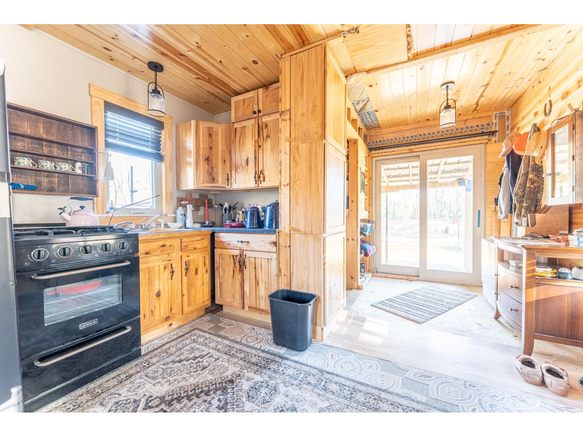 1346 Bear Head State Park Rd Ely MN 55731 6122929 image3