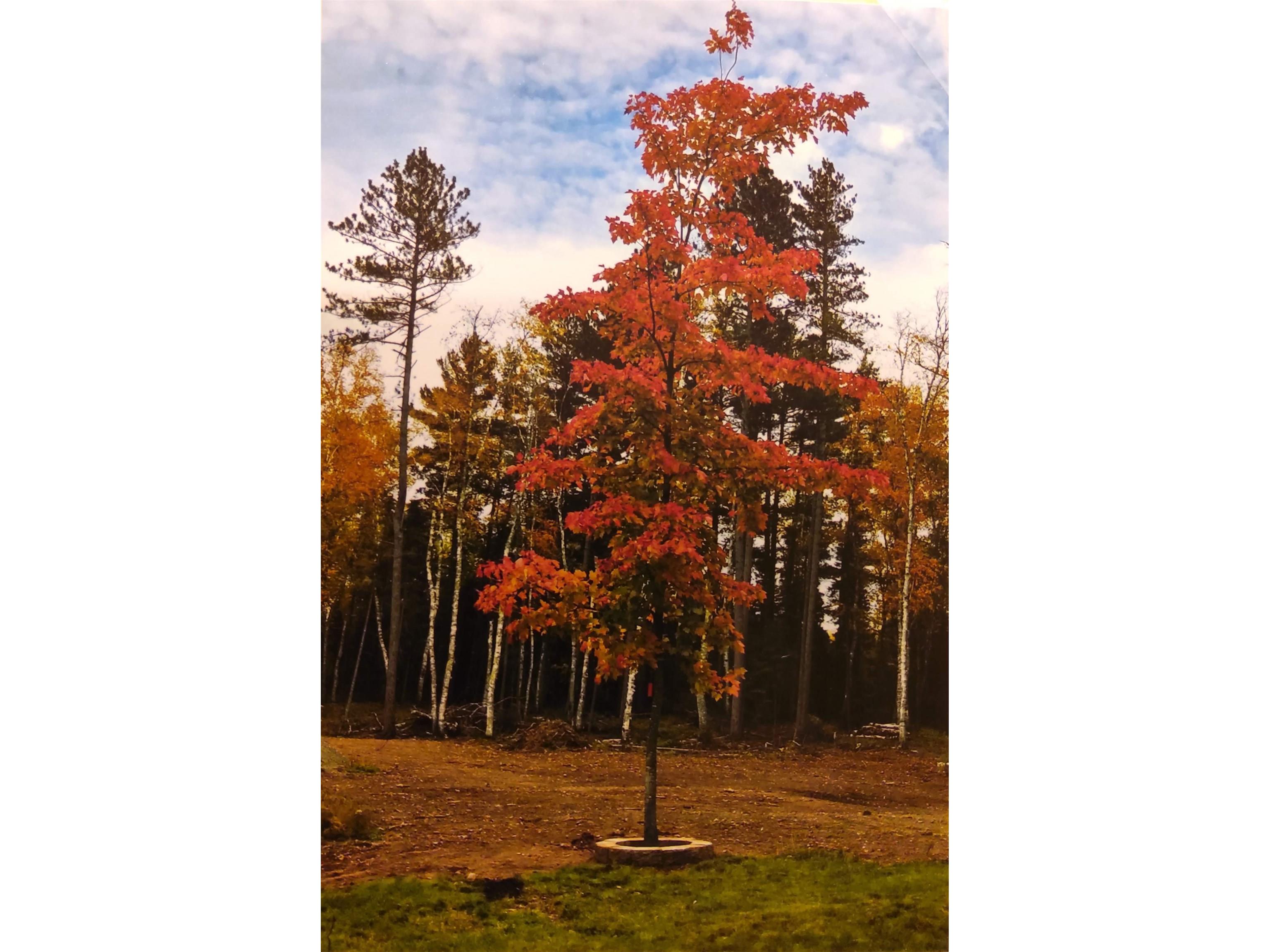 1346 Bear Head State Park Rd Ely MN 55731 6122929 image34