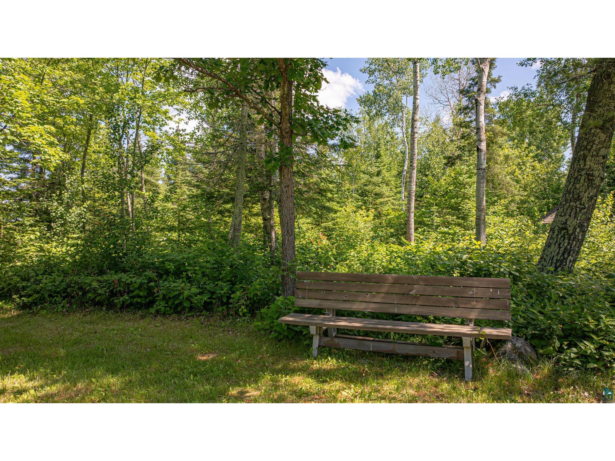 13321 Lodge Rd Ely MN 55731 - Fall 6126443 image66