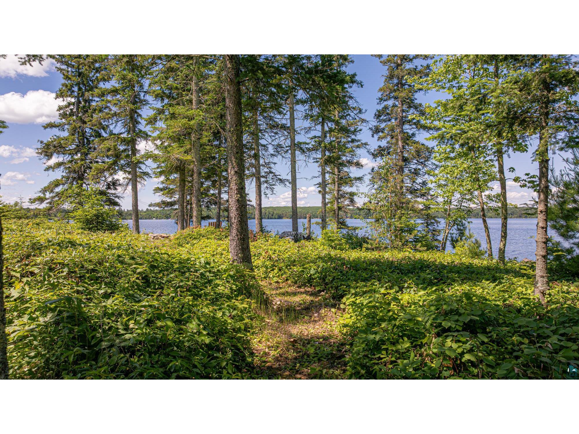 13321 Lodge Rd Ely MN 55731 - Fall 6126443 image71