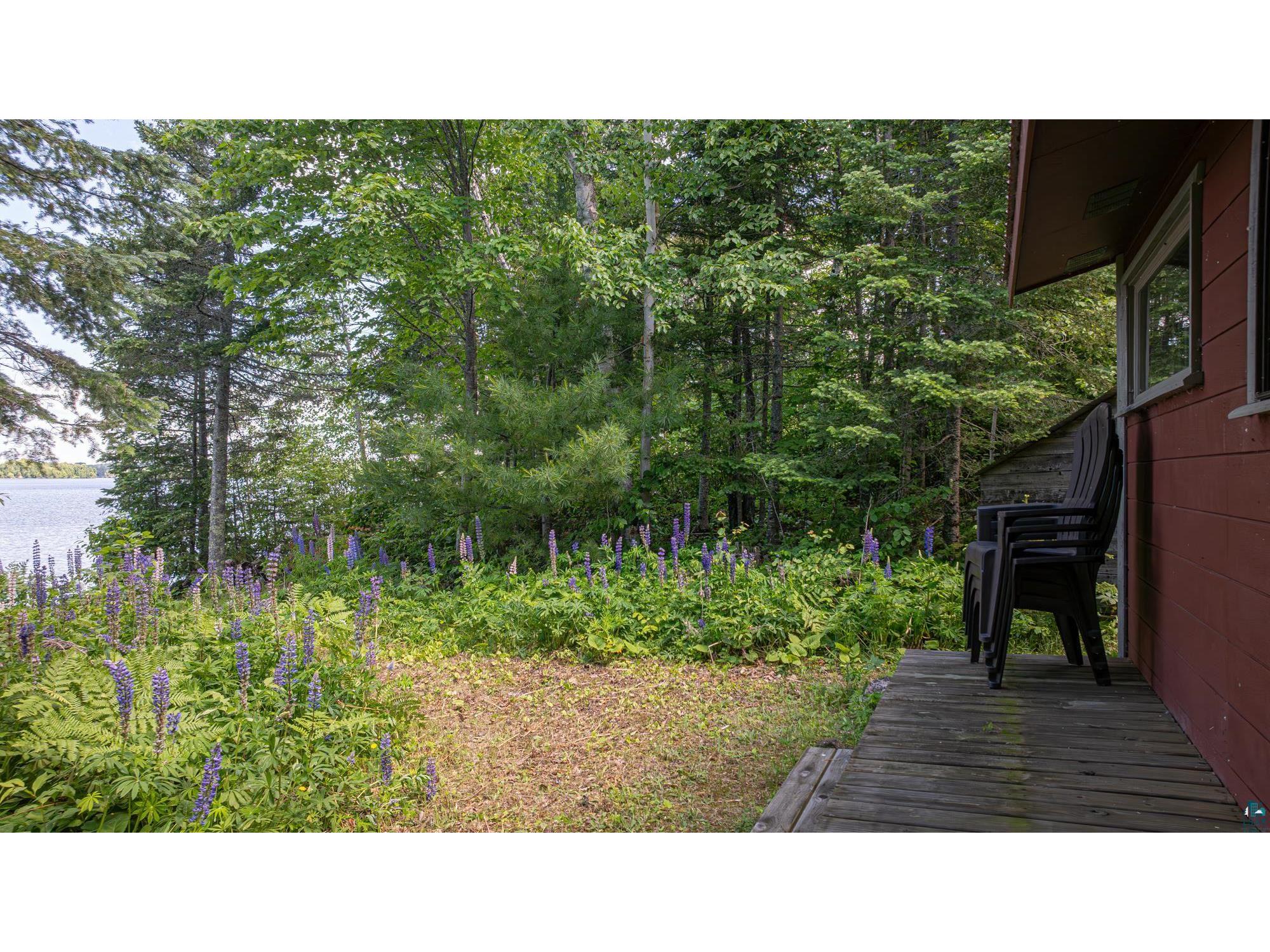 13321 Lodge Rd Ely MN 55731 - Fall 6126443 image92