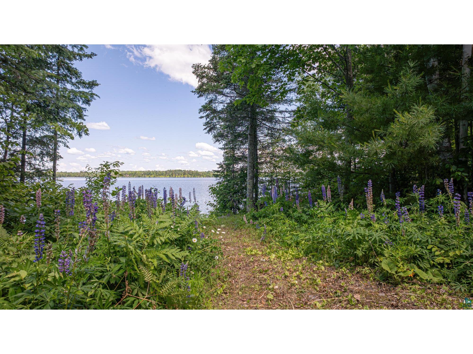 13321 Lodge Rd Ely MN 55731 - Fall 6126443 image93