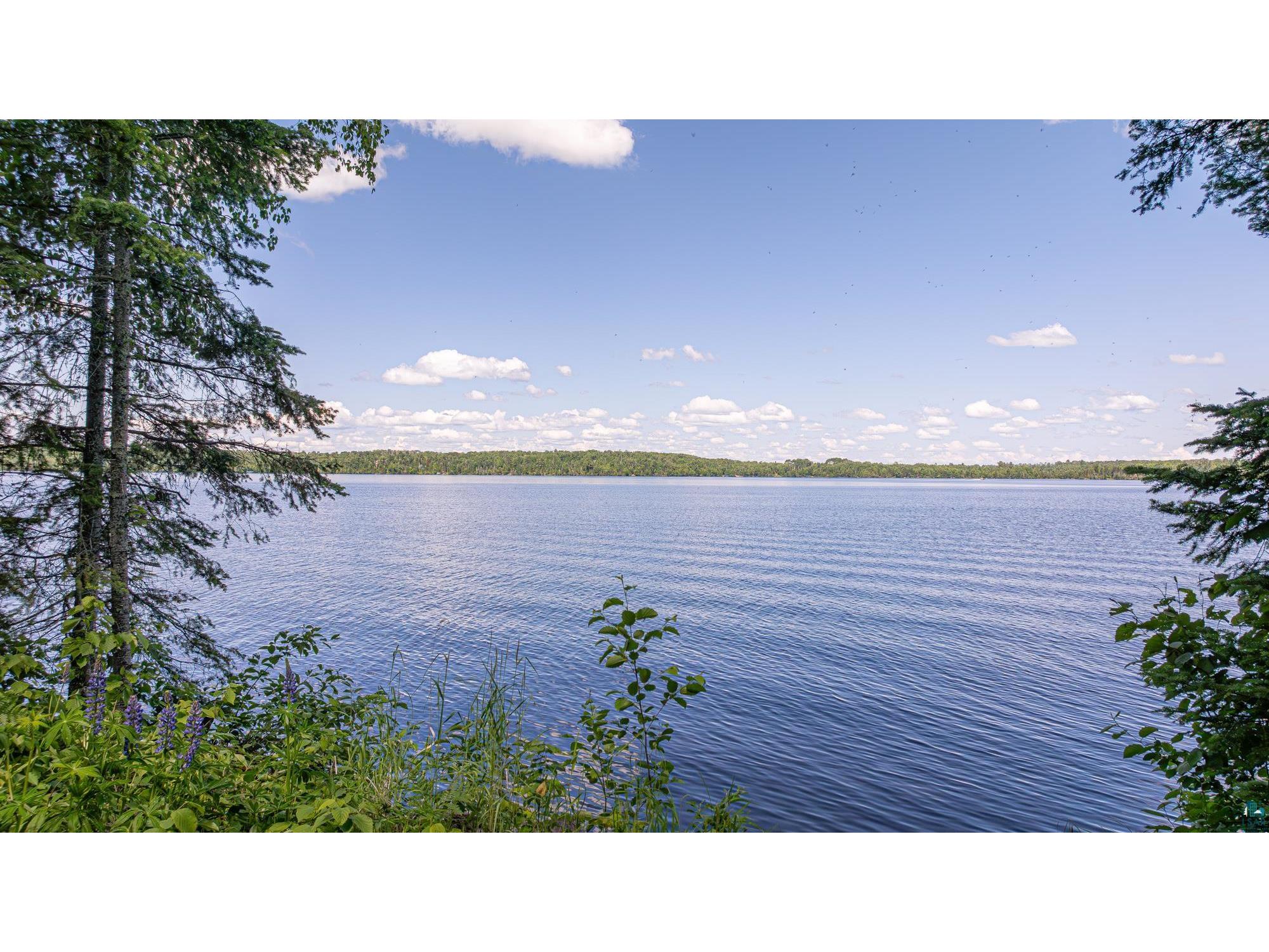 13321 Lodge Rd Ely MN 55731 - Fall 6126443 image94