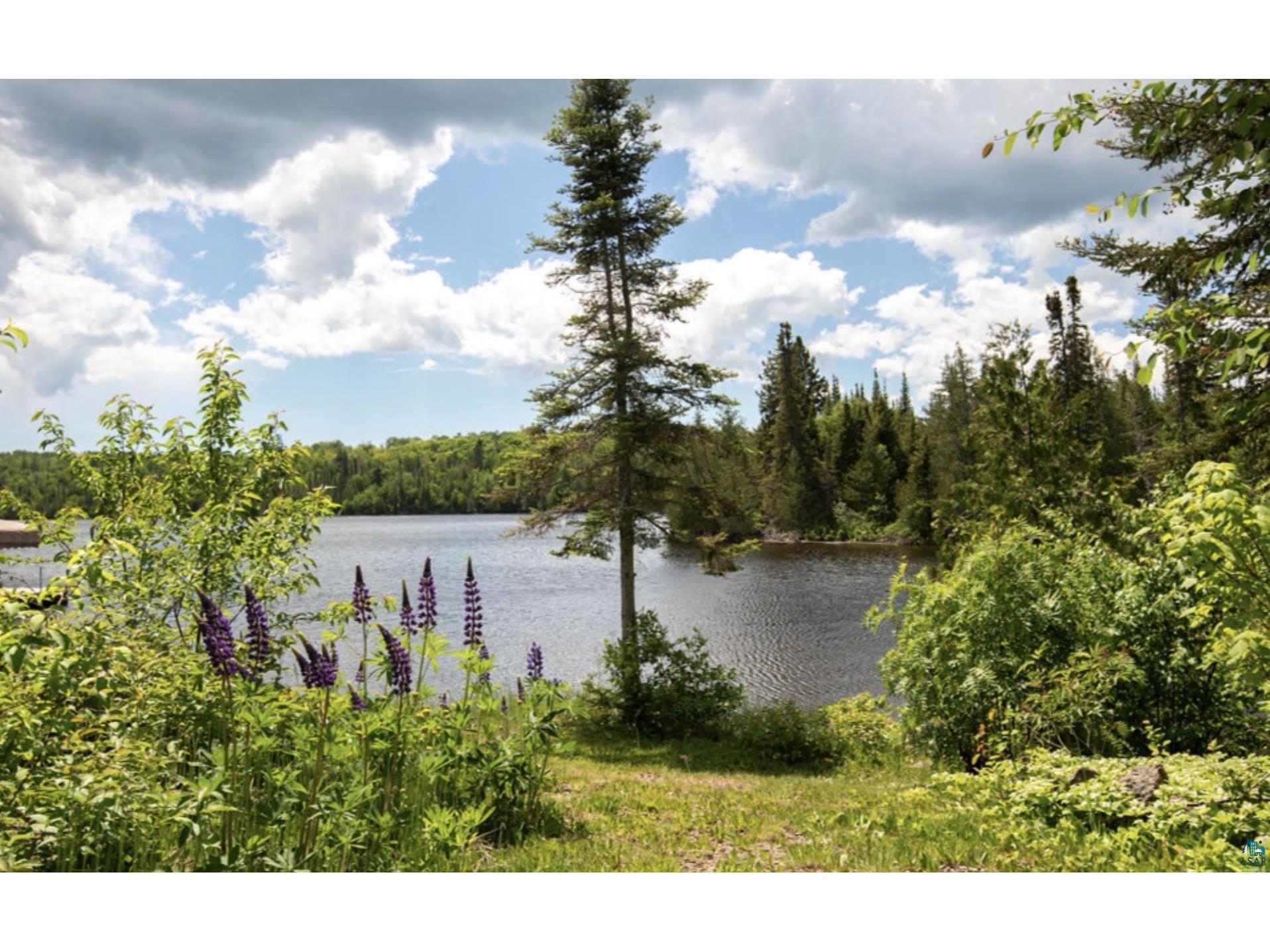 1339 Tom Lake Rd Hovland MN 55606 - Tom 6125998 image74