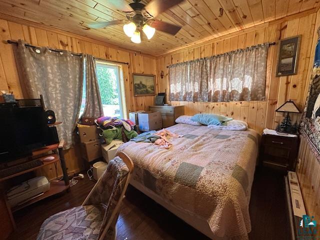 1383 Kelly Trail Isabella MN 55607 6123986 image15