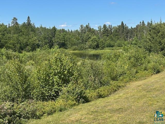 1383 Kelly Trail Isabella MN 55607 6123986 image37