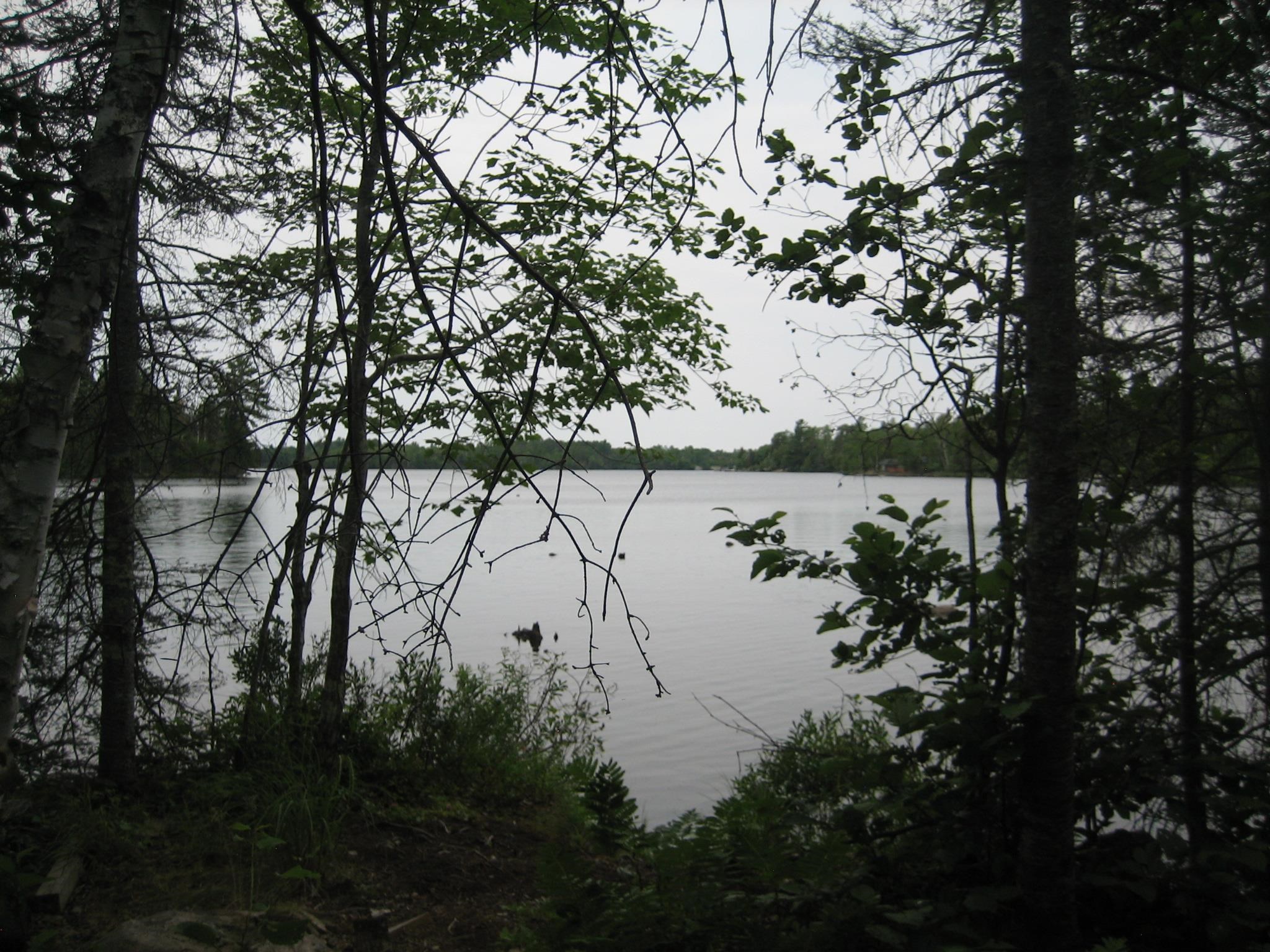 13848 Queen's Bay Rd Ely MN 55731 - Garden 6108277 image7