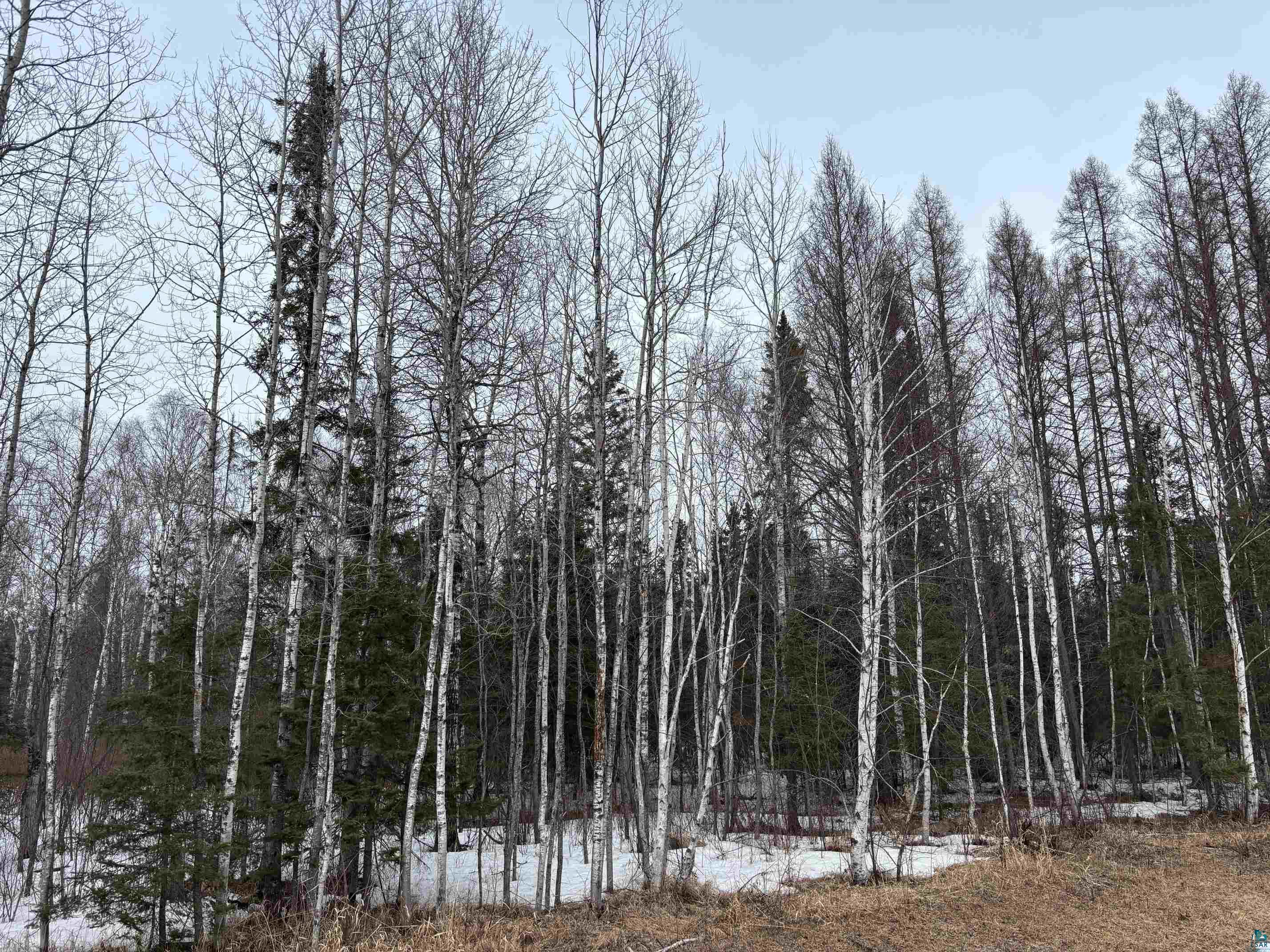 13XX Town Line Rd Brimson MN 55602 6124178 image3