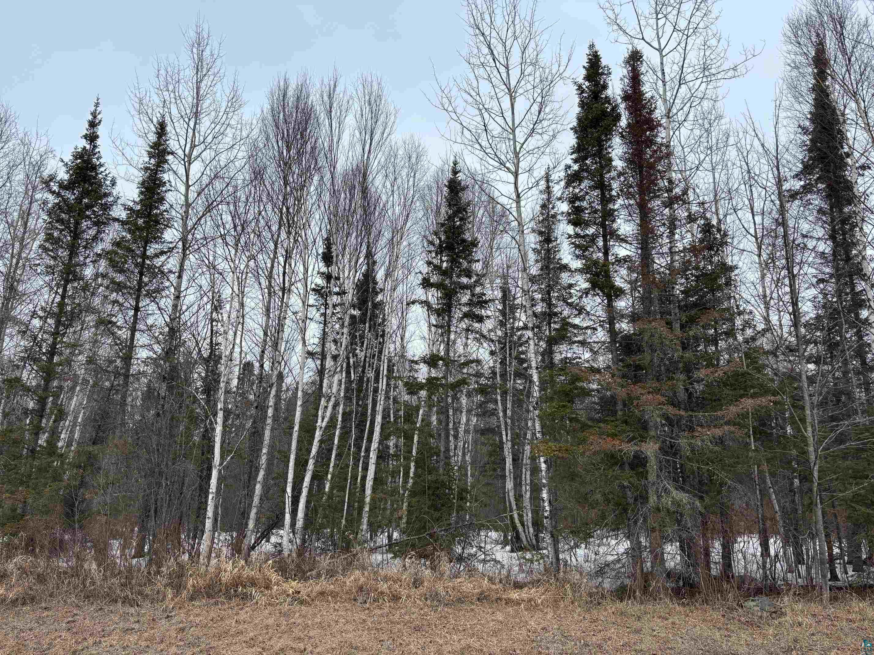 13XX Town Line Rd Brimson MN 55602 6124178 image4