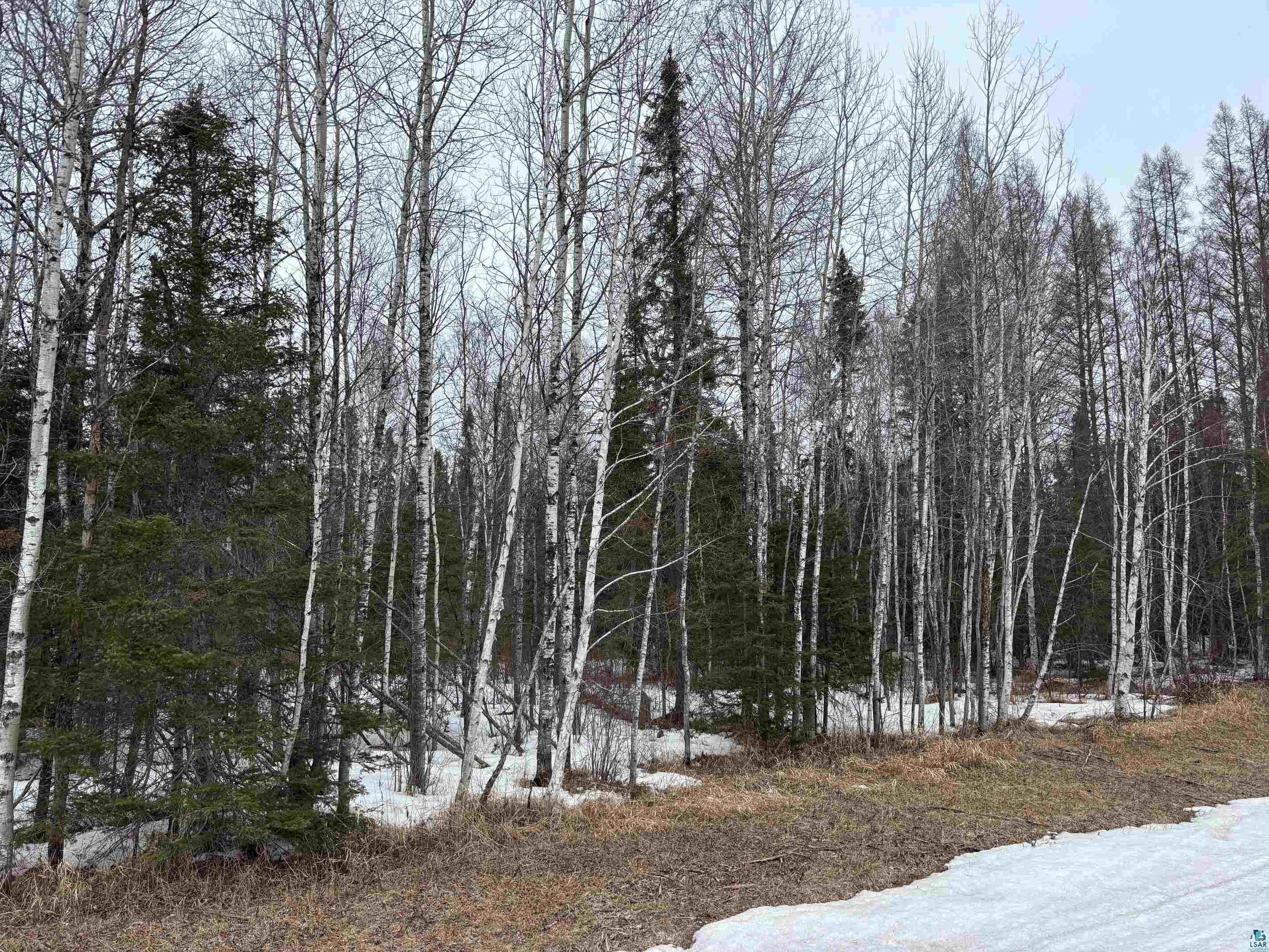 13XX Town Line Rd Brimson MN 55602 6124178 image6