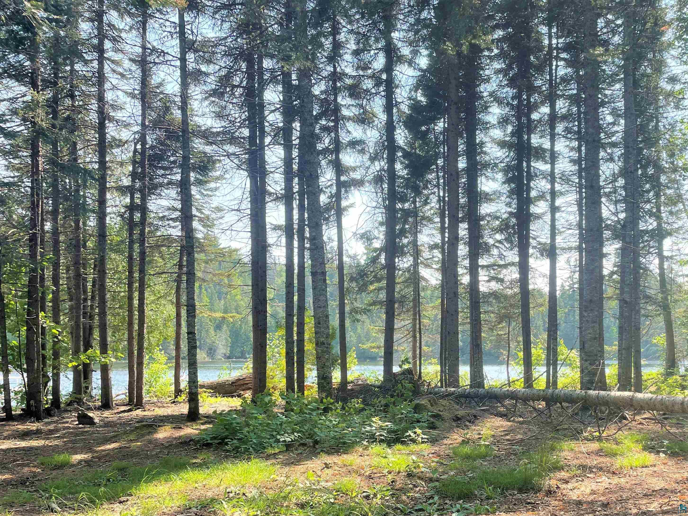 14 Otter Bay Ln Hovland MN 55606 - Tom 6109030 image1