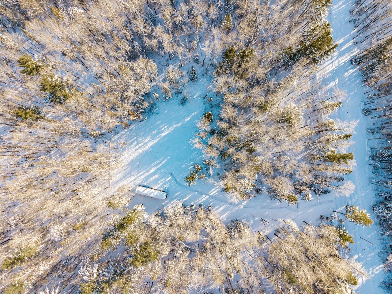 1437 E Severson Rd Foxboro WI 54836 6123263 image5