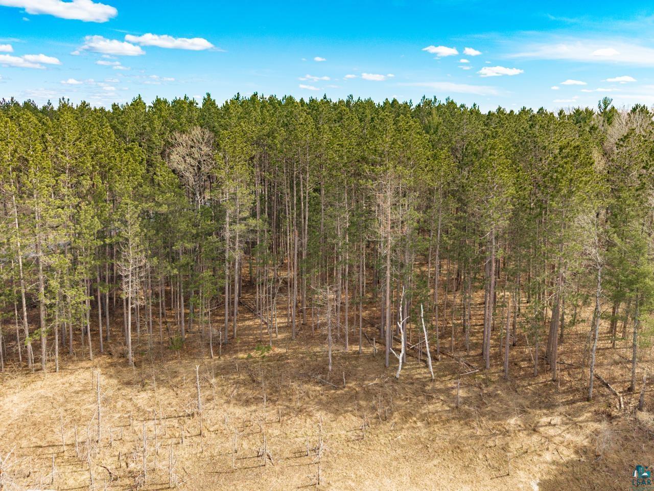 143xx E Catherine Lake Rd Solon Springs WI 54873 - Catherine Lake 6124828 image9