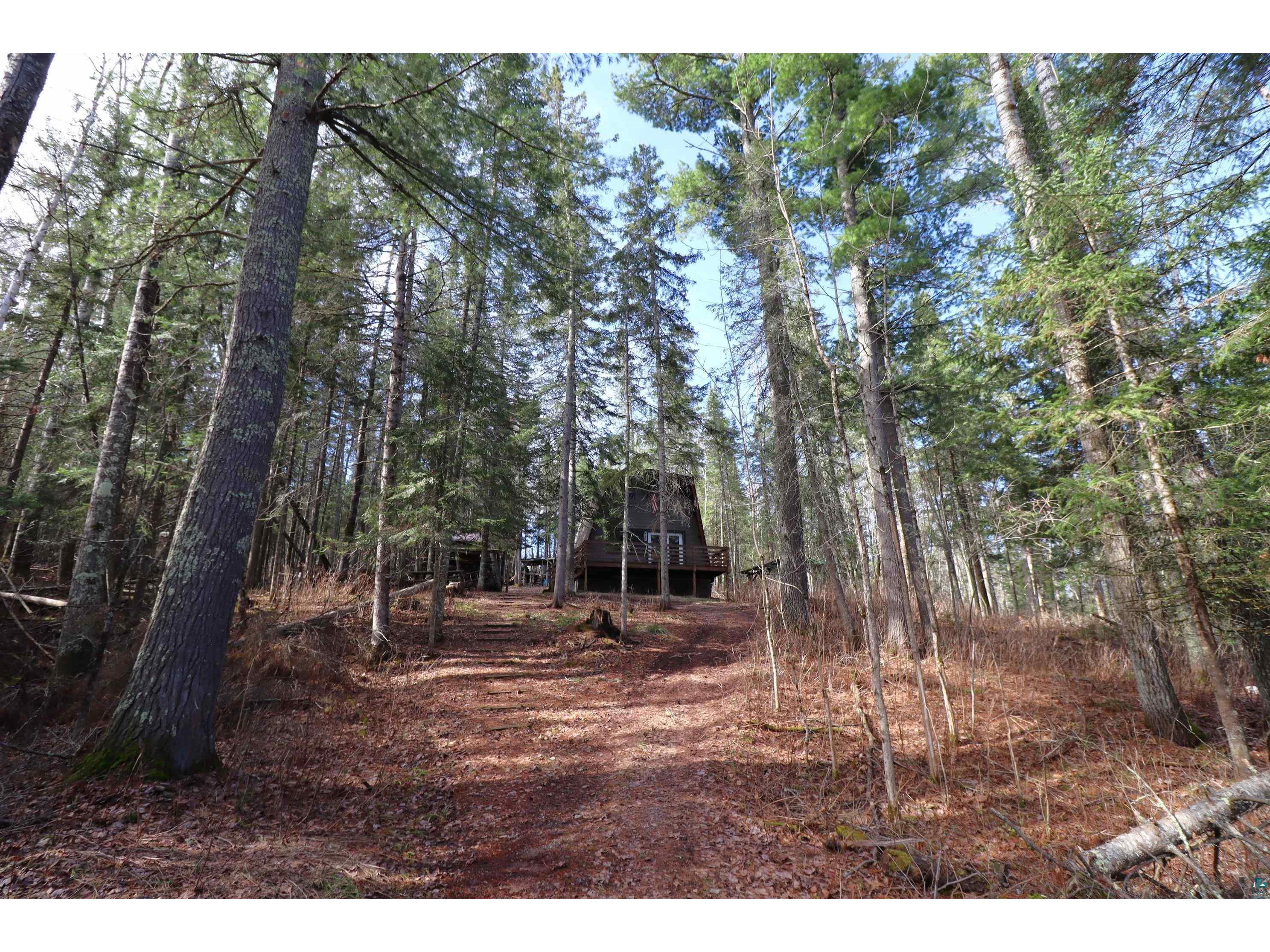 14615 Cranberry River Rd Herbster WI 54844 - East Fork Cranberry River 6124869 image10