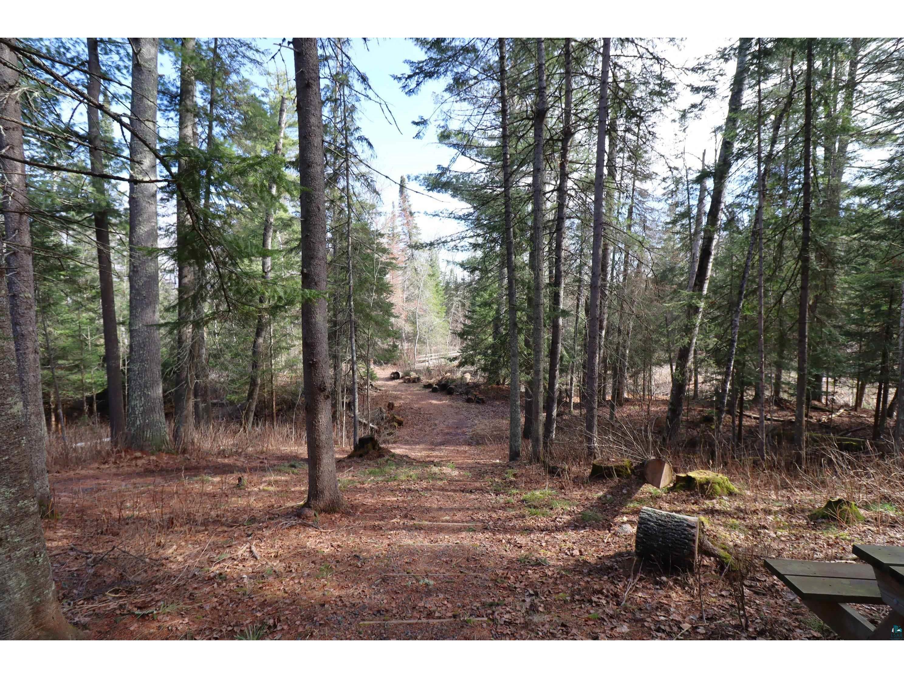 14615 Cranberry River Rd Herbster WI 54844 - East Fork Cranberry River 6124869 image11
