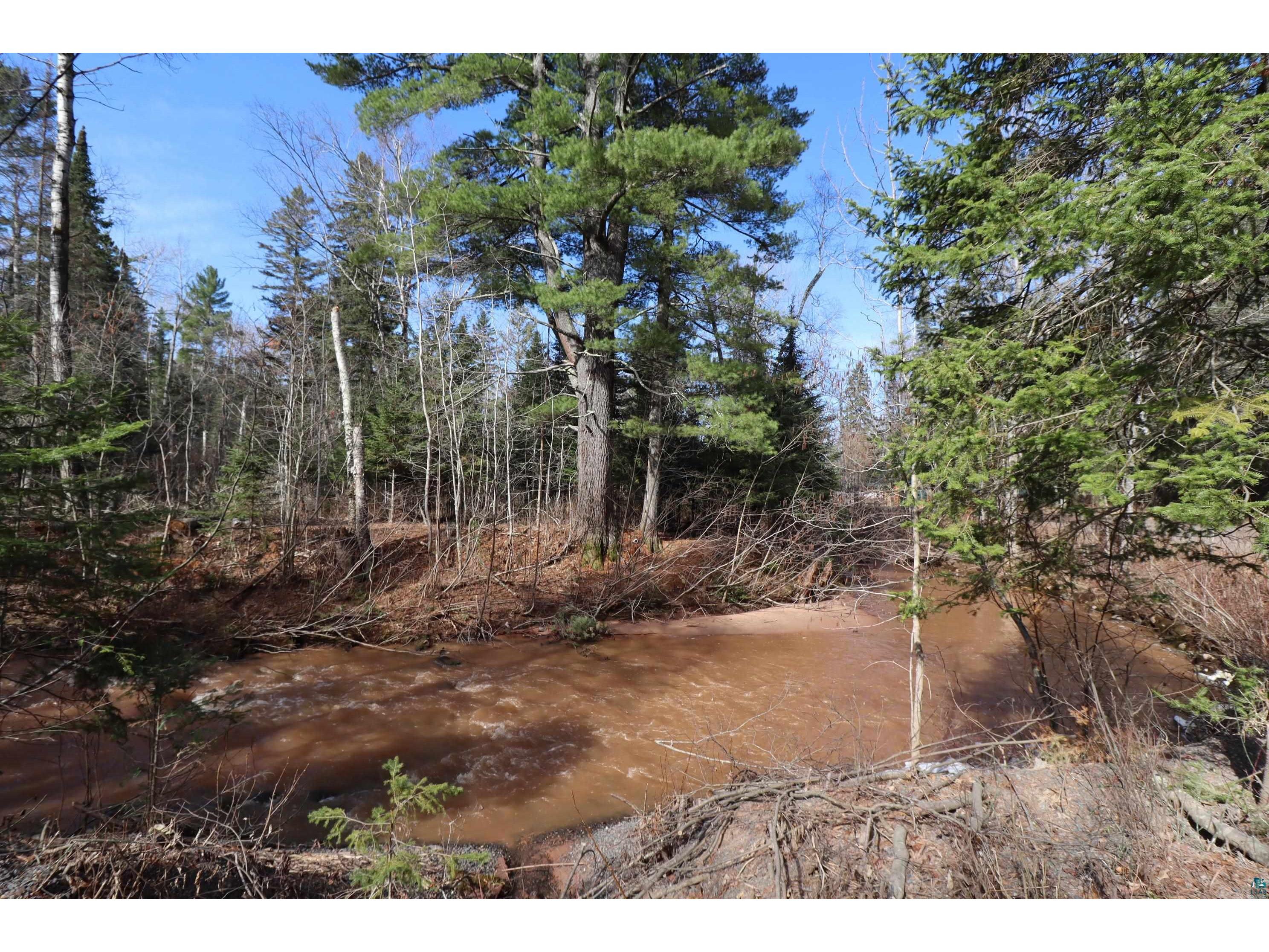 14615 Cranberry River Rd Herbster WI 54844 - East Fork Cranberry River 6124869 image4