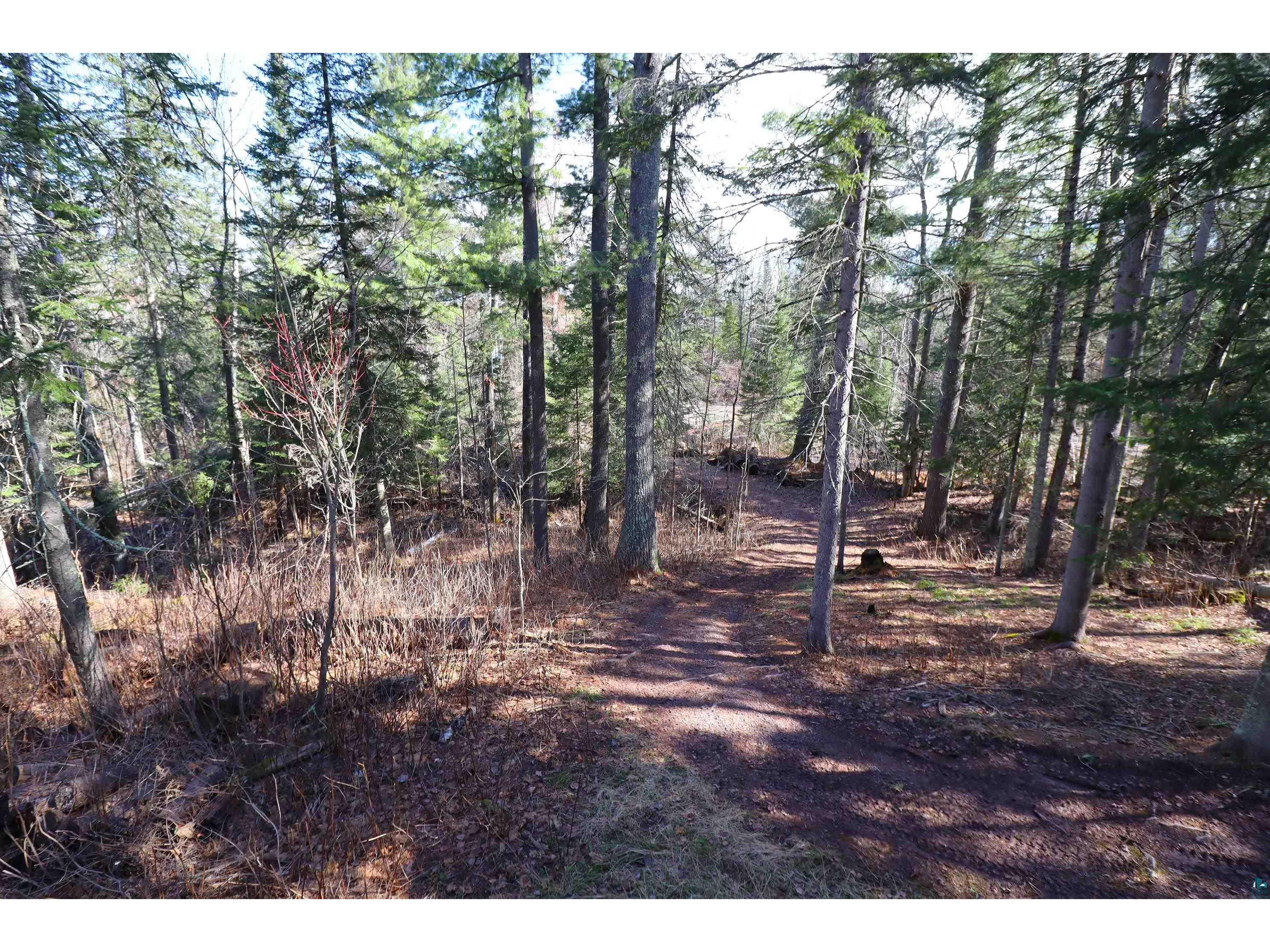 14615 Cranberry River Rd Herbster WI 54844 - East Fork Cranberry River 6124869 image40