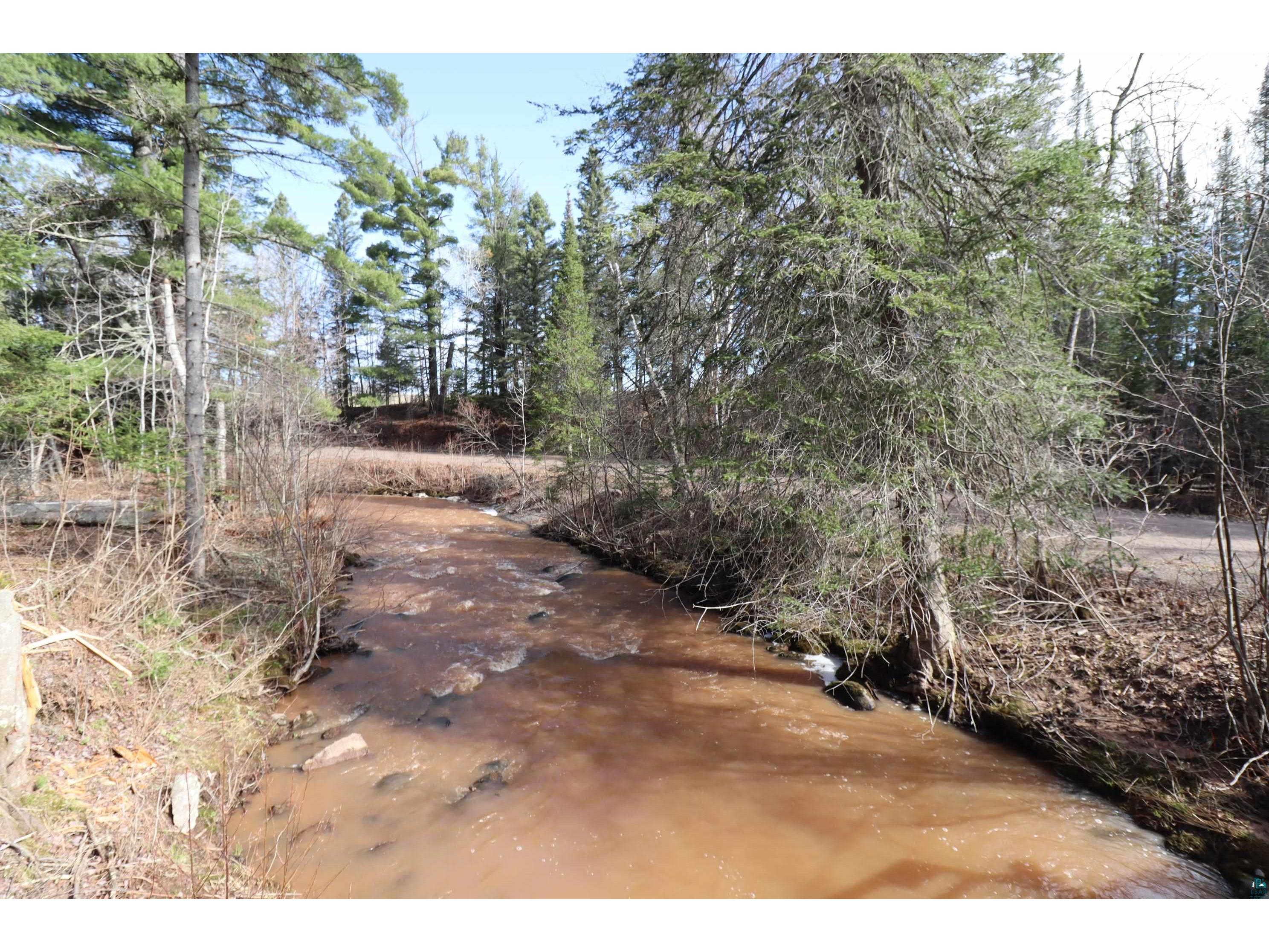 14615 Cranberry River Rd Herbster WI 54844 - East Fork Cranberry River 6124869 image6