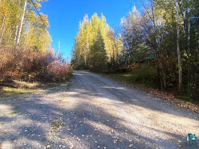 14649 Canadian Border Rd Ely MN 55731 - Moose 6123895 image10