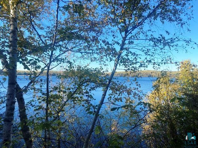 14649 Canadian Border Rd Ely MN 55731 - Moose 6123895 image4