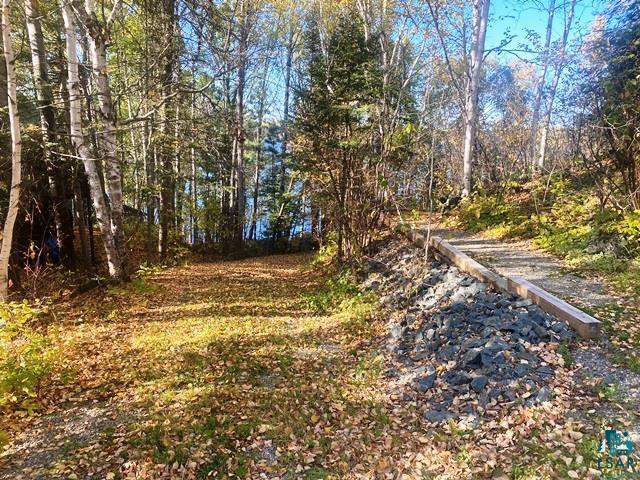 14649 Canadian Border Rd Ely MN 55731 - Moose 6123895 image7