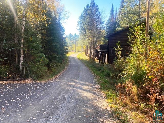 14649 Canadian Border Rd Ely MN 55731 - Moose 6123895 image8