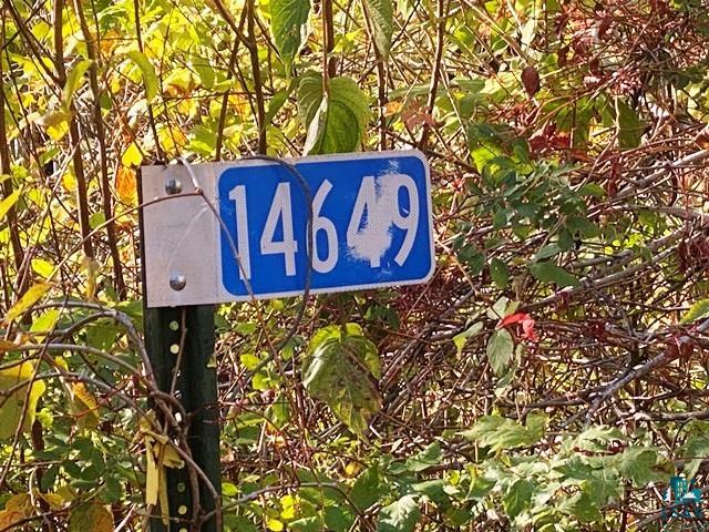 14649 Canadian Border Rd Ely MN 55731 - Moose 6123895 image9