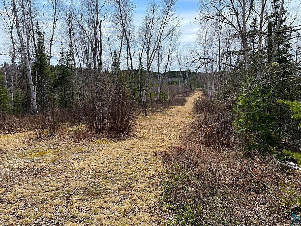 1480 Maijala Rd Ely MN 55731 6124981 image46