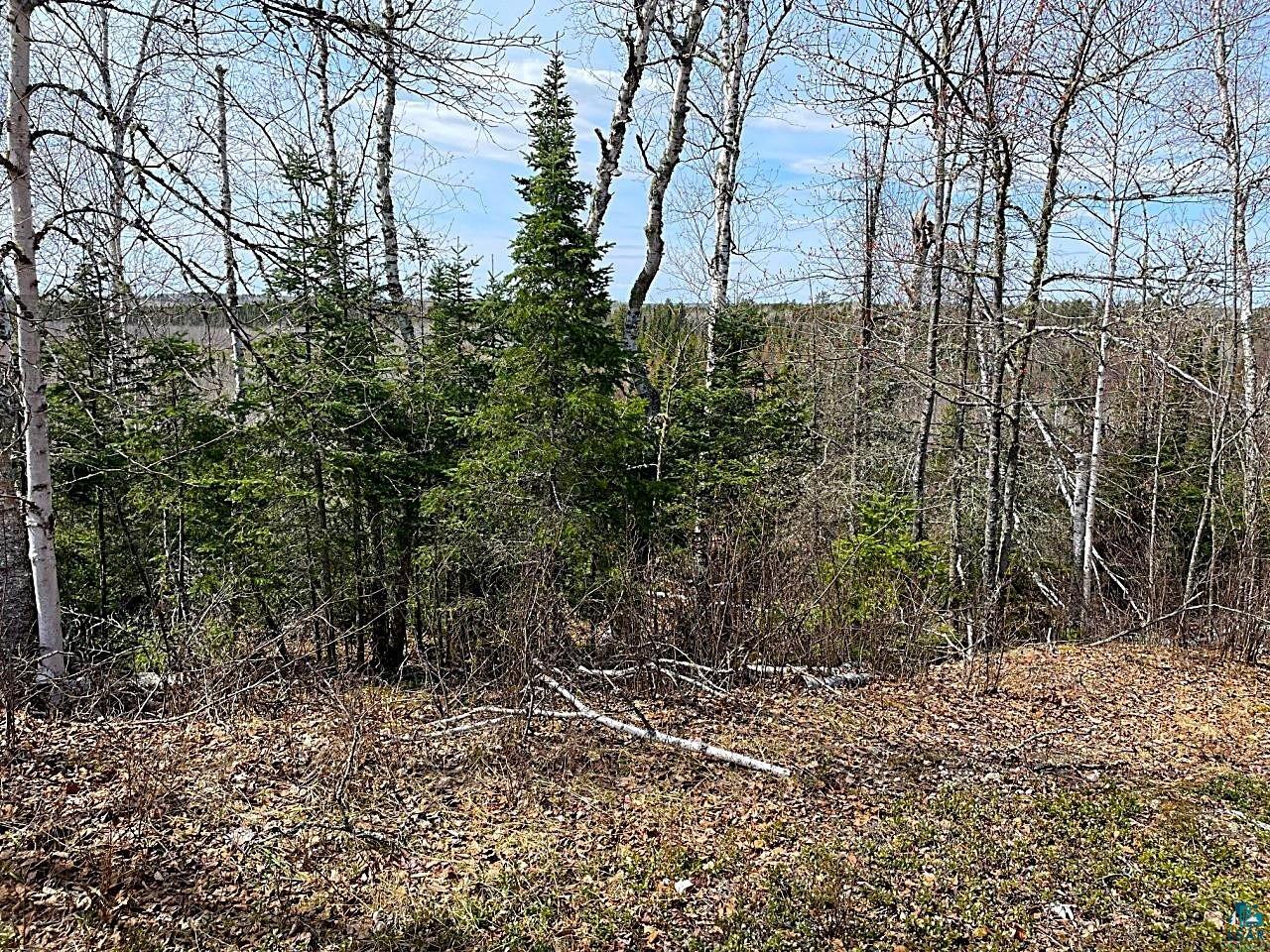1480 Maijala Rd Ely MN 55731 6124981 image47