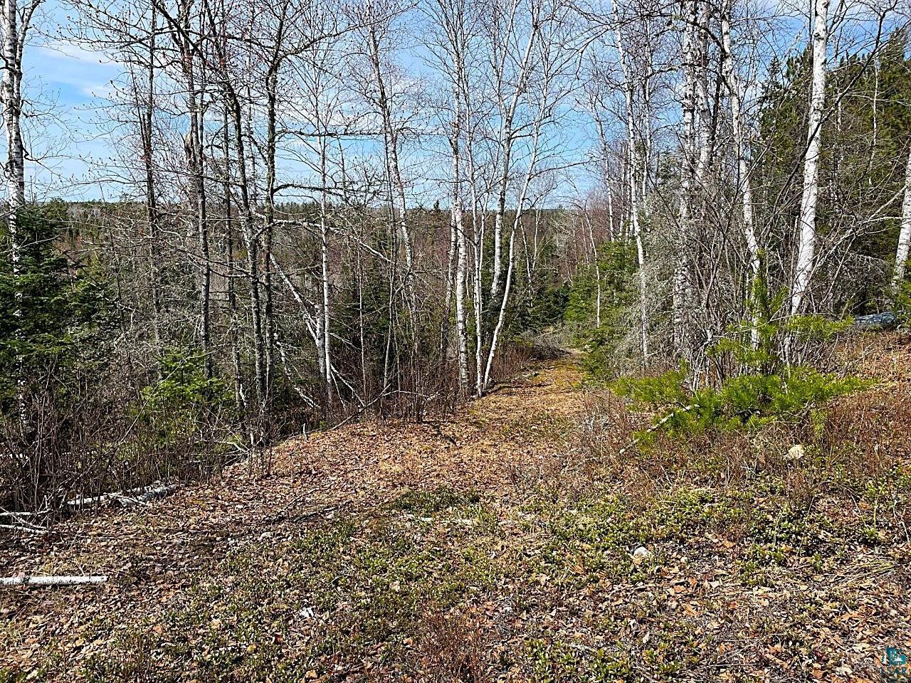 1480 Maijala Rd Ely MN 55731 6124981 image5