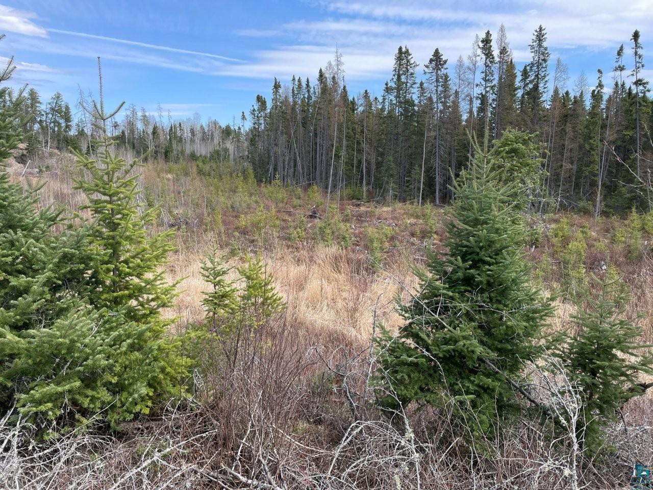 1480 Maijala Rd Ely MN 55731 6124981 image51