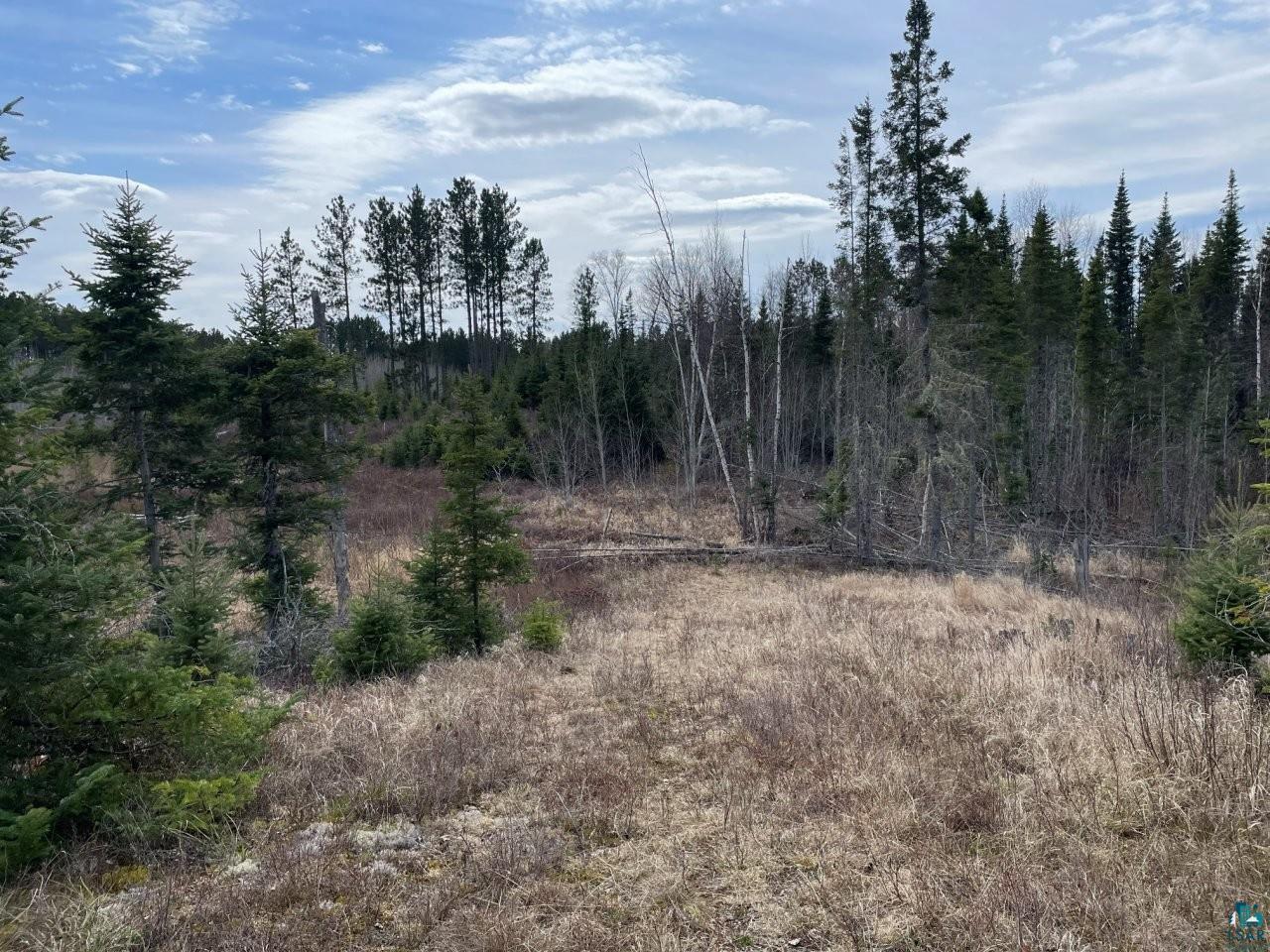 1480 Maijala Rd Ely MN 55731 6124981 image52