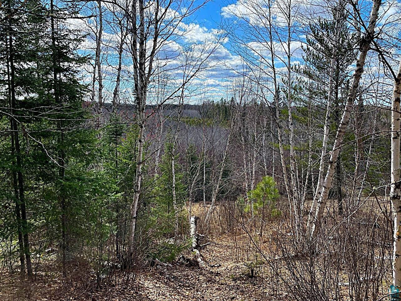 1480 Maijala Rd Ely MN 55731 6124981 image6