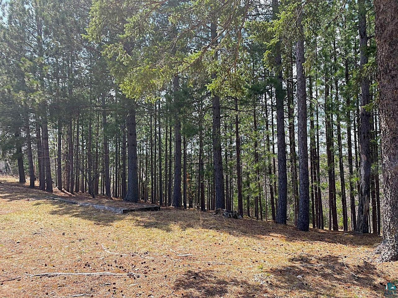 1480 Maijala Rd Ely MN 55731 6124981 image9