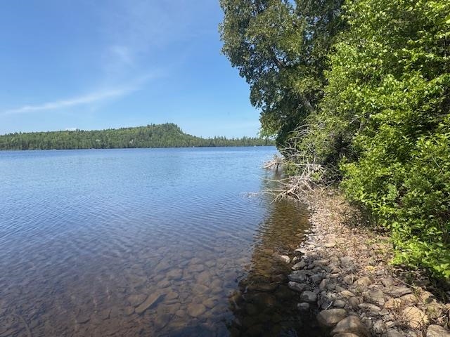 14XX Tom Lake Rd Hovland MN 55606 - Tom 6123264 image1