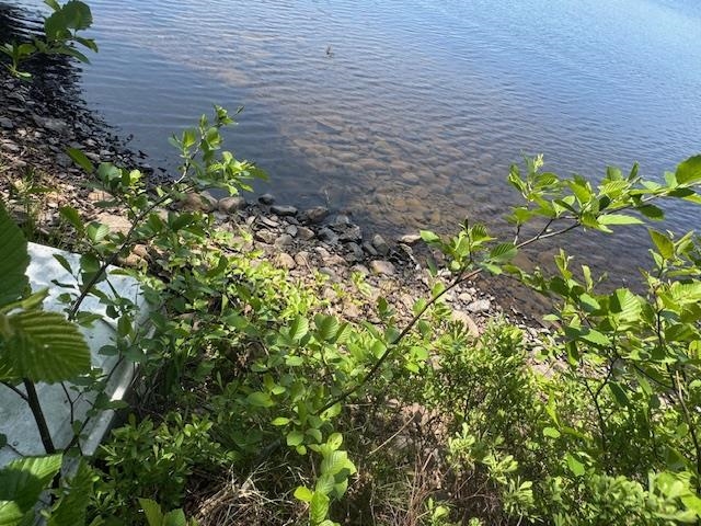 14XX Tom Lake Rd Hovland MN 55606 - Tom 6123264 image14