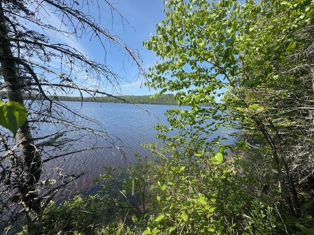 14XX Tom Lake Rd Hovland MN 55606 - Tom 6123264 image16